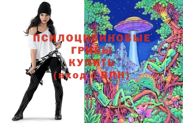 марки nbome Алзамай