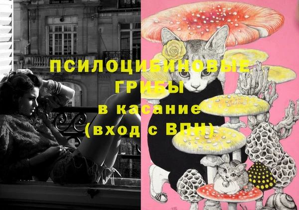 синтетический гашиш Алексин