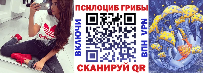 Псилоцибиновые грибы Cubensis  наркошоп  Чаплыгин 